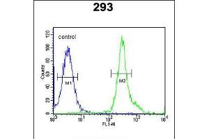Flow cytometric analysis of 293 cells (right histogram) compared to a negative control cell (left histogram). (Tetraspanin 3 Antikörper  (AA 90-117))