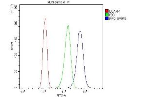 Flow Cytometry analysis of A431 cells using anti-RP2 antibody (ABIN6719513). (RP2 Antikörper  (AA 244-348))