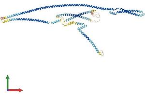 Protein Structure (PS) image for Cut-Like Homeobox 1 (CUX1) (AA 1-678) protein (His tag) (ABIN7556716)