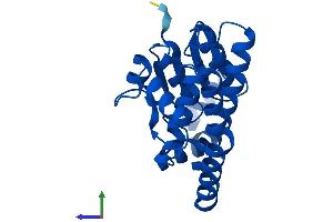 Protein Structure (PS) image for Glutathione S-Transferase alpha 4 (GSTA4) (AA 1-222) protein (His tag) (ABIN7562998)