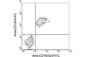 Flow Cytometry (FACS) image for anti-CD32/CD16 (CD32/CD16) antibody (FITC) (ABIN370921) (CD32/CD16 Antikörper  (FITC))