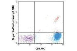 Flow Cytometry (FACS) image for anti-TCR, V delta 2 antibody (ABIN2665403) (TCR, V delta 2 Antikörper)