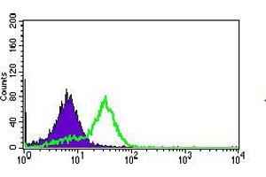 Flow cytometric analysis of HepG2 cells using MRPL42 mouse mAb (green) and negative control (purple). (MRPL42 Antikörper  (AA 10-142))