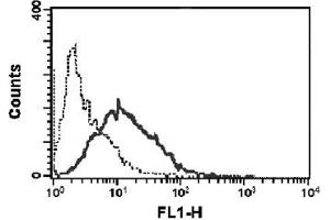 Rat TART-gp34 cells (5 X 10 5 ) expressing surface Tnfsf4 vector (thick line) or TART-1 parental cells (dotted line), were incubated on ice for 30 min in 50 uL FACS buffer (PBS, 5% Fetal calf serum, 0. (TNFSF4 Antikörper)