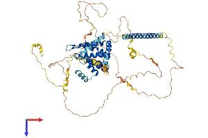 Epsin 1 Protein (EPN1) (AA 1-576) (His tag)