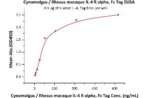 Immobilized Human IL-4, Tag Free (ABIN2181318,ABIN3071738) at 5 μg/mL (100 μL/well) can bind Cynomolgus / Rhesus macaque IL-4 R alpha, Fc Tag (ABIN2870596,ABIN2870597) with a linear range of 10-78 ng/mL (QC tested).
