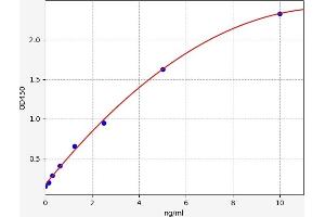 Beclin 1, Autophagy Related (BECN1) ELISA Kit