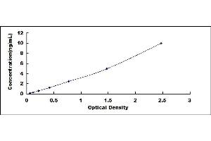 Typical standard curve (KRT81 ELISA Kit)