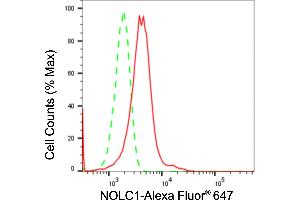 Flow cytometric analysis of NOLC1 expression in HeLa cells using NOLC1 antibody (ABIN7799665), 1:2,000).