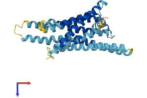 TAS2R16 Protein (AA 1-299) (His tag)