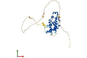 Protein Structure (PS) image for Mortality Factor 4 Like 2 (MORF4L2) (AA 1-288) protein (His tag) (ABIN7565179)