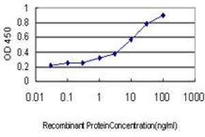 Detection limit for recombinant GST tagged DHODH is approximately 0. (DHODH Antikörper  (AA 32-140))