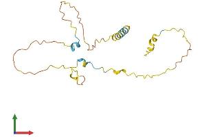 Protein Structure (PS) image for MAP6 Domain Containing 1 (MAP6D1) (AA 1-191) protein (His tag) (ABIN7556982)