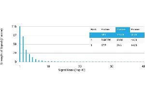 Protein Array (PAr) image for anti-Neuropeptide Y (NPY) antibody (ABIN7456172) (NPY Antikörper)