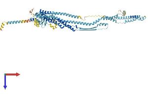 DCST1 Protein (AA 1-732) (His tag)