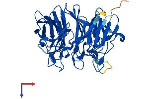 KLHDC8B Protein (AA 1-354) (His tag)