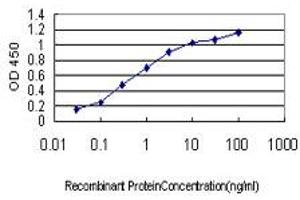 Detection limit for recombinant GST tagged BUB1 is approximately 0. (BUB1 Antikörper  (AA 1-1085))