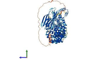 Protein Structure (PS) image for AP1 Complex Subunit gamma-Like 2 (AP1G2) (AA 1-785) protein (His tag) (ABIN7552125)