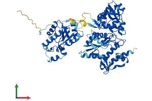 Protein Structure (PS) image for 3'-phosphoadenosine 5'-phosphosulfate Synthase 2 (PAPSS2) (AA 1-621) protein (His tag) (ABIN7562601)