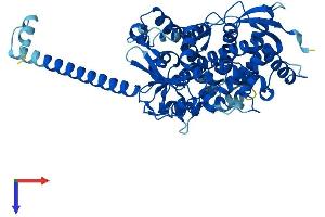 CYP4F22 Protein (AA 1-531) (His tag)