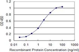 Detection limit for recombinant GST tagged CHST12 is 0. (CHST12 Antikörper  (AA 56-150))