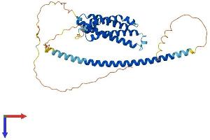 FBXO28 Protein (AA 1-368) (His tag)