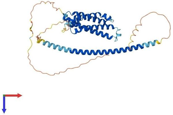 FBXO28 Protein (AA 1-368) (His tag)
