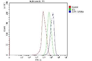 Flow Cytometry analysis of HepG2 cells using anti-Aspartate Aminotransferase/GOT1 antibody (ABIN7601883).