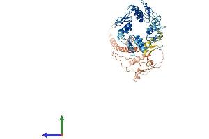 Protein Structure (PS) image for Zinc Finger Protein 714 (ZNF714) (AA 1-554) protein (His tag) (ABIN7545392)