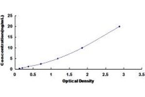 Typical standard curve (POT1 ELISA Kit)