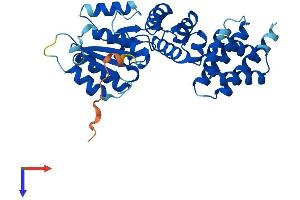 RFC5 Protein (AA 1-339) (His tag)