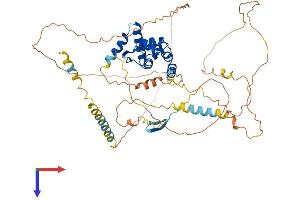 ARID3B Protein (AA 1-561) (His tag)