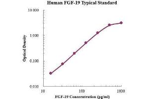 ELISA image for Fibroblast Growth Factor 19 (FGF19) ELISA Kit (ABIN3198530)