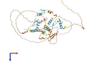 ZNF692 Protein (AA 1-519) (His tag)