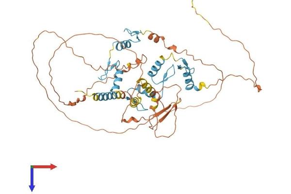 ZNF692 Protein (AA 1-519) (His tag)