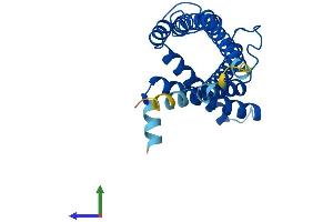 Protein Structure (PS) image for Peroxisome Biogenesis Factor 11 gamma (PEX11G) (AA 1-241) protein (His tag) (ABIN7551128)