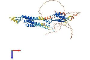 SLC30A1 Protein (AA 1-507) (His tag)