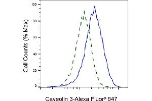 Validation of Caveolin 3 knockdown using flow cytometry. (Rekombinanter Caveolin 3 Antikörper)