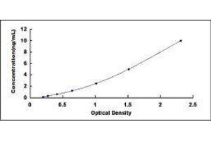 Retinoic Acid Receptor, beta (RARB) ELISA Kit