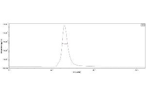 The purity of SARS-CoV-2 Spike Trimer, His Tag (B.