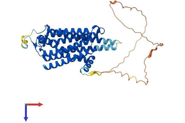 Adenosine A2a Receptor Protein (ADORA2A) (AA 1-410) (His tag)