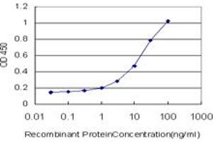 Detection limit for recombinant GST tagged OXSR1 is approximately 1ng/ml as a capture antibody. (OXSR1 Antikörper  (AA 351-450))