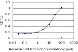 Detection limit for recombinant GST tagged OXSR1 is approximately 1ng/ml as a capture antibody.