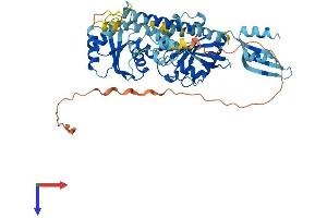 GTPBP6 Protein (AA 1-516) (His tag)