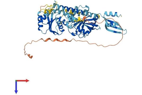 GTPBP6 Protein (AA 1-516) (His tag)