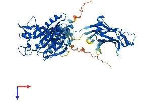 CPNE7 Protein (AA 1-557) (His tag)
