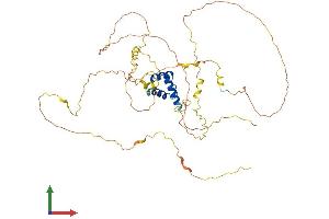 Protein Structure (PS) image for Iroquois Homeobox Protein 1 (IRX1) (AA 1-480) protein (His tag) (ABIN7548558)
