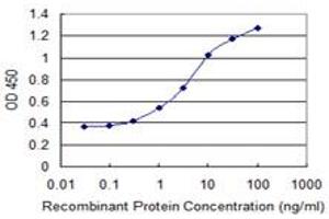 Detection limit for recombinant GST tagged ZSCAN18 is 0. (ZSCAN18 Antikörper  (AA 1-510))