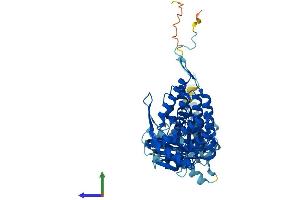 Protein Structure (PS) image for Chaperonin Containing TCP1, Subunit 7 (Eta) (CCT7) (AA 1-543) protein (His tag) (ABIN7544303)