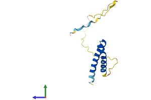 Protein Structure (PS) image for Cyclin-Dependent Kinase 2 Associated Protein 2 (CDK2AP2) (AA 1-127) protein (His tag) (ABIN7560491)